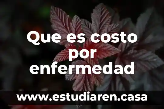 Que es la enfermedad ataxia 7 Que es costo por enfermedad
