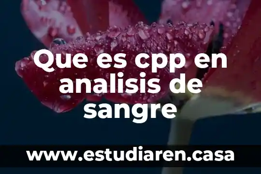 Que es primero la idea o el analisis de negocio 6 Que es cpp en analisis de sangre