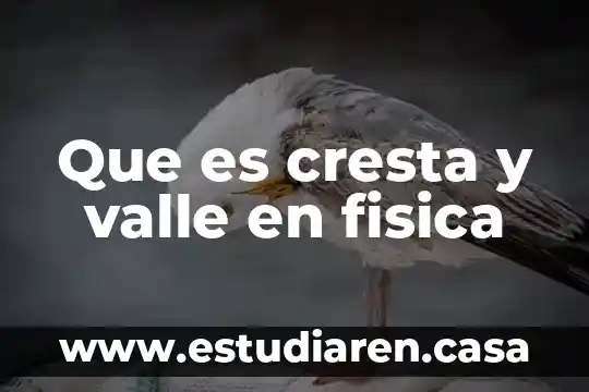 Qué es el actual con principios éticos 8 Que es cresta y valle en fisica