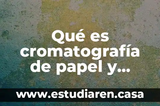 Qué es criterio y ejemplos 6 Qué es cromatografía de papel y ejemplos