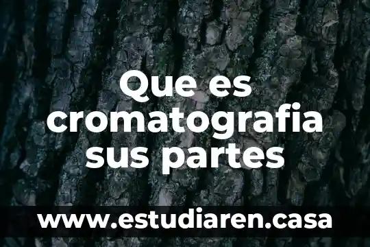 Que es cromatografia sus partes