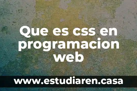 Que es css en programacion web