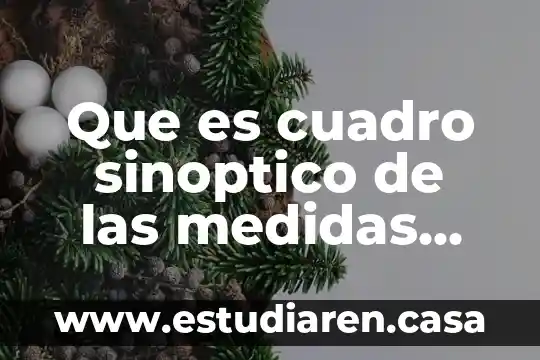 Que es una cuadro sinoptico sobre el cuadro sinóptico 8 Que es cuadro sinoptico de las medidas cautelares