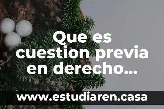 Que es un termino en cuestion de definicion 7 Que es cuestion previa en derecho internacional privado