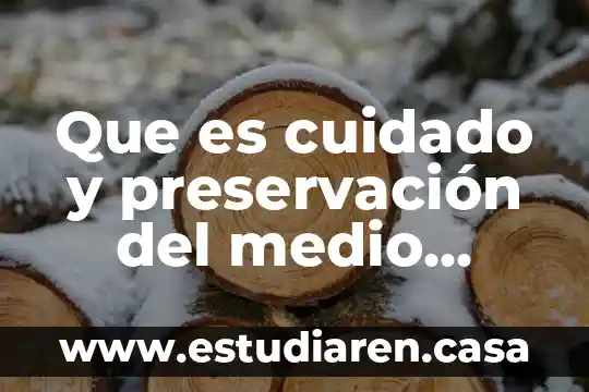 Que es el medio ubano 8 Que es cuidado y preservación del medio ambiente