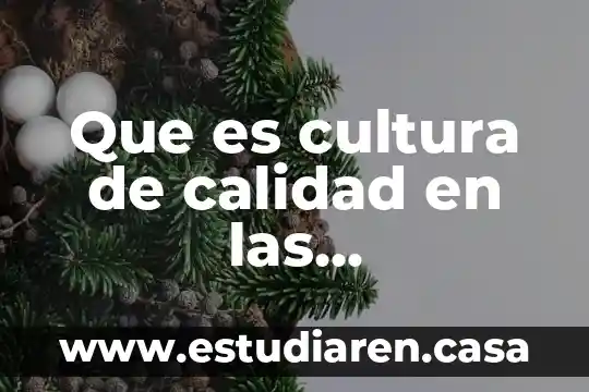 Que es la cultura del noviazgo 5 Que es cultura de calidad en las organizaciones