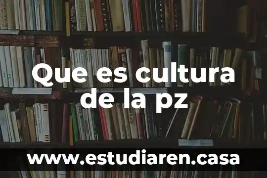 Que es cultura de la pz