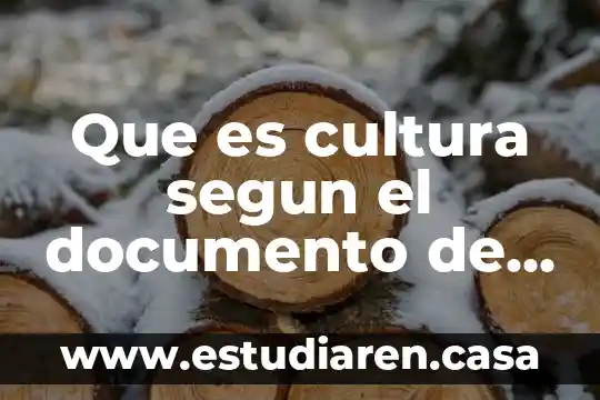 Grupo Butser Puebla 3 Que es cultura segun el documento de puebla