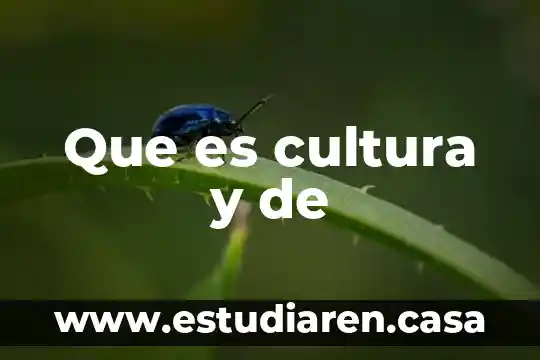 Que es una cultura de prevencion 3 Que es cultura y de