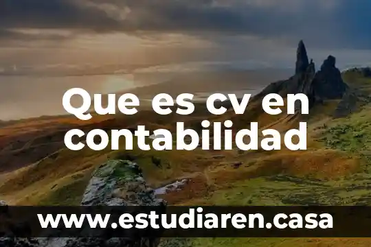 Sistemas contino sa de cv que es 6 Que es cv en contabilidad