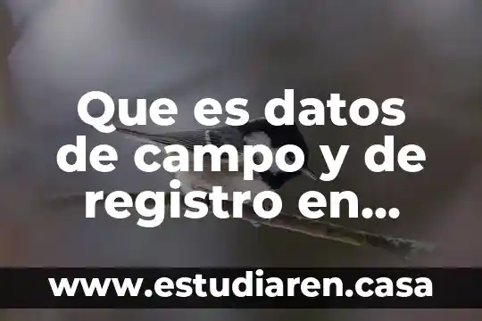 Registro de dmarc publicado que es 3 Que es datos de campo y de registro en informatica