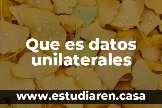 Que es datos de facturas 7 Que es datos unilaterales