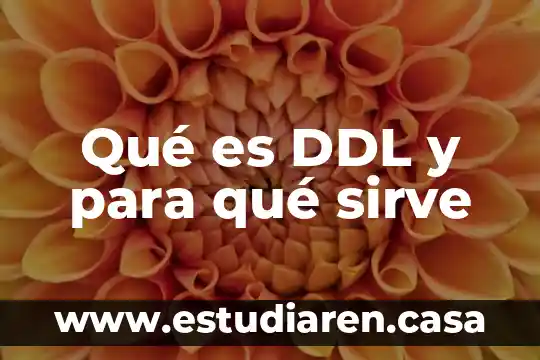 Qué es DDL y para qué sirve