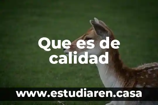 Que es sop en calidad 7 Que es de calidad