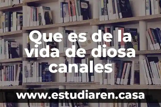 Canales de venta que es 3 Que es de la vida de diosa canales