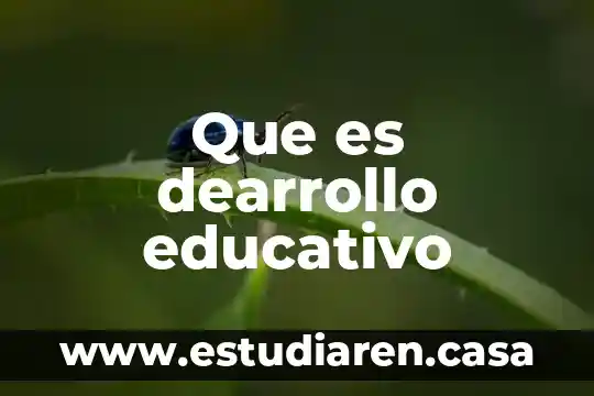 Qué es un circuito educativo en preescolar 6 Que es dearrollo educativo