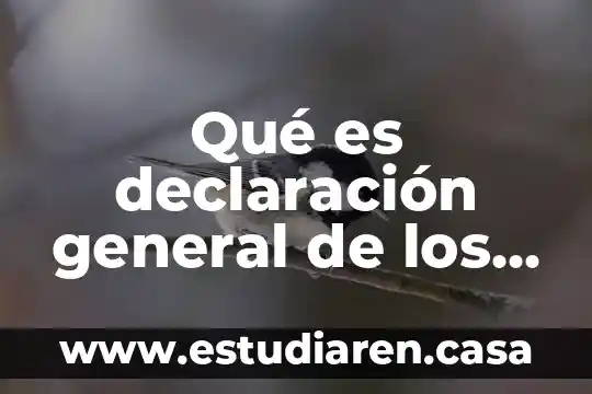 Qué es declaración general de los vuelos 20 Qué es declaración general de los vuelos