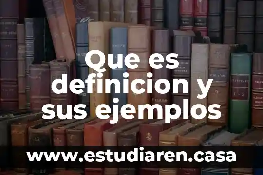 Que es definicion y sus ejemplos