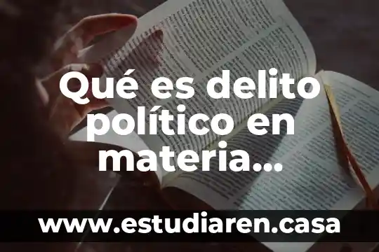 Qué es un factor político en una empresa 6 Qué es delito político en materia internacional