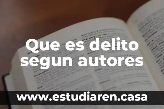 Que es delito segun autores