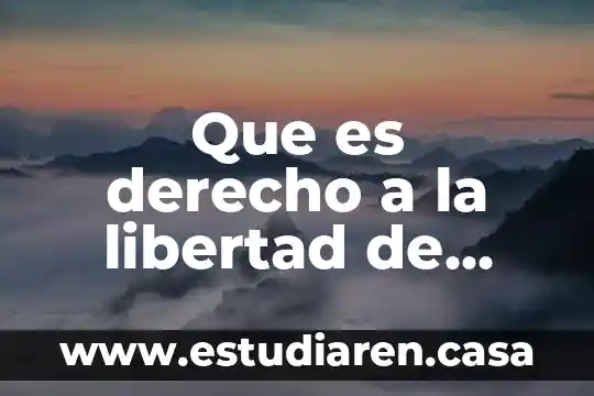 Que es el derecho de libertad e igualdad 4 Que es derecho a la libertad de opinion
