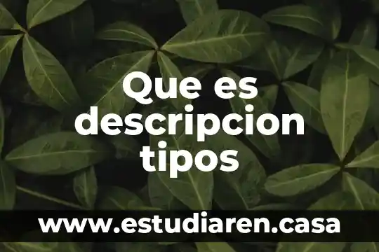 Que es descripcion tipos