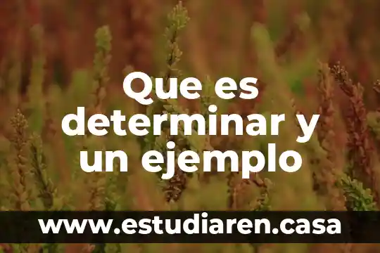 Que es un elemento para determinar la rejiona isacion 3 Que es determinar y un ejemplo