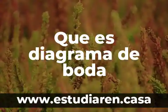Que es diagrama de boda