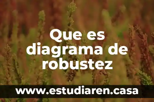 Que es diagrama de robustez