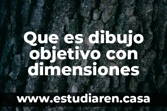 Que es dibujo objetivo con dimensiones