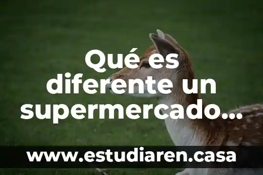 Qué es diferente un supermercado que un mercado