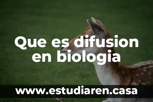Que es difusion en biologia
