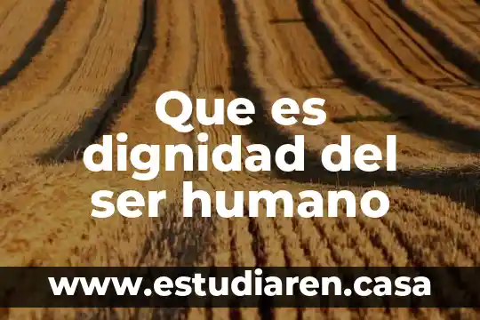 Que es el principio de dignidad humana 3 Que es dignidad del ser humano