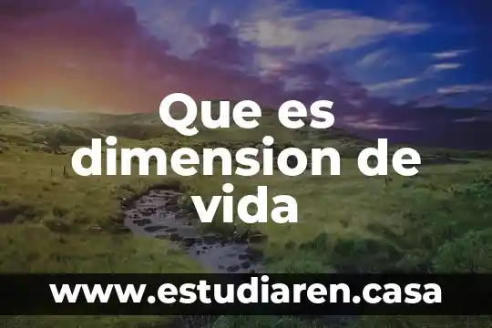 Que es dimension administrativa 3 Que es dimension de vida