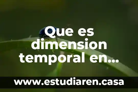 Que es dimension de vida 5 Que es dimension temporal en una investigacion