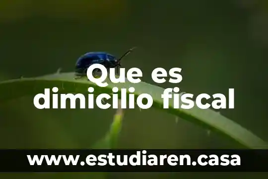 Que es la constancia de identificacion fiscal 7 Que es dimicilio fiscal