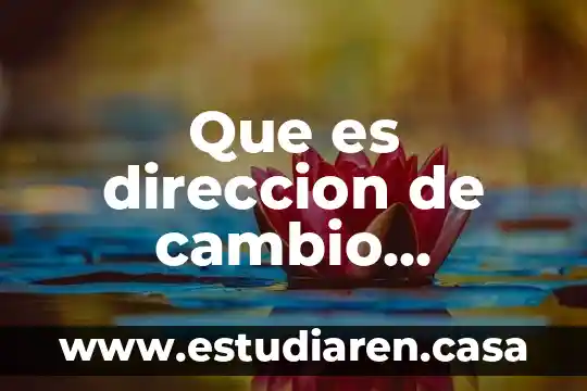 Acta de cambio de nombre que es 3 Que es direccion de cambio organizacional y la innovacion