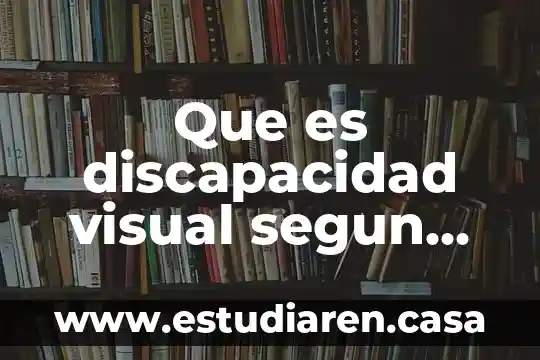 Que es discapacidad visual segun autores
