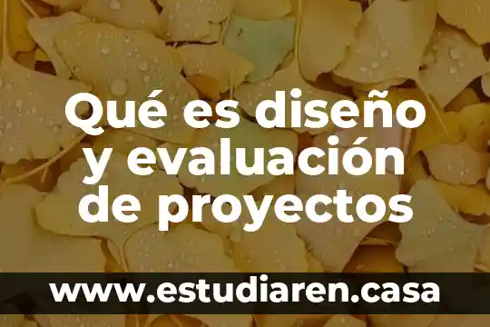 Qué es diseño y evaluación de proyectos