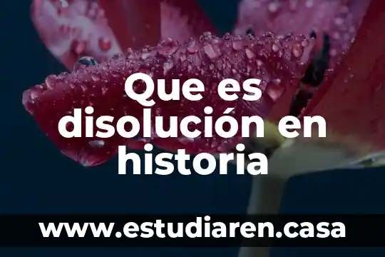 Que es disolución en historia