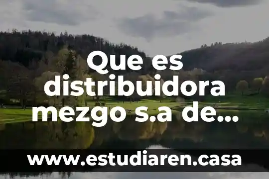 Sistemas contino sa de cv que es 3 Que es distribuidora mezgo s.a de c.v