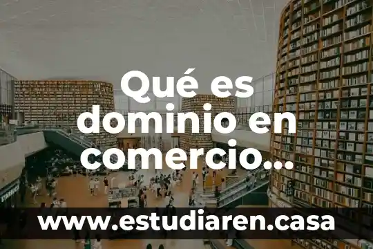 Qué es dominio en comercio electrónico