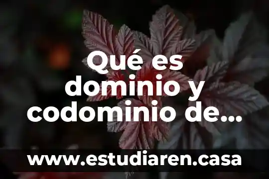 Qué es dominio y codominio de una relación