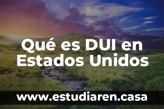 Qué es lo que exporta Francia a Estados Unidos 6 Qué es DUI en Estados Unidos