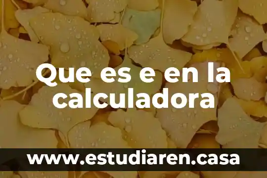 Que es una calculadora cientifica la sigmax 7 Que es e en la calculadora