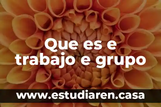 Que es un licenciado en trabajo social 5 Que es e trabajo e grupo