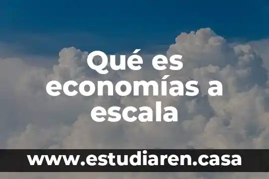 Qué es una escala relativa física 7 Qué es economías a escala