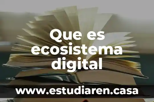 Que es ecosistema digital
