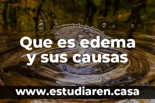 Que es problema social y causas 4 Que es edema y sus causas