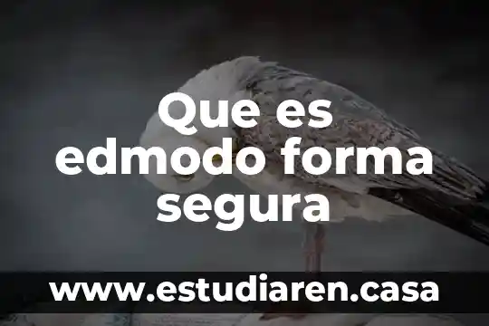 Que es edmodo forma segura